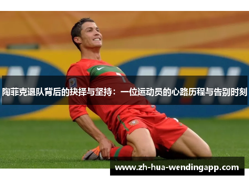 陶菲克退队背后的抉择与坚持：一位运动员的心路历程与告别时刻