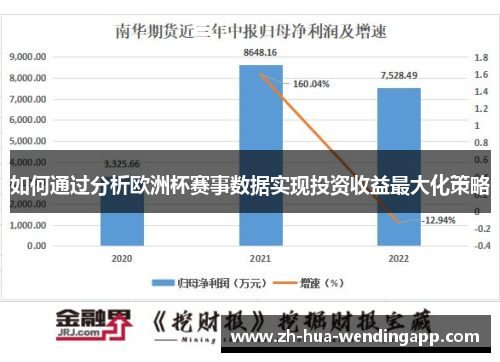 如何通过分析欧洲杯赛事数据实现投资收益最大化策略