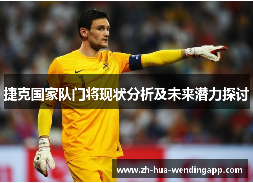 捷克国家队门将现状分析及未来潜力探讨