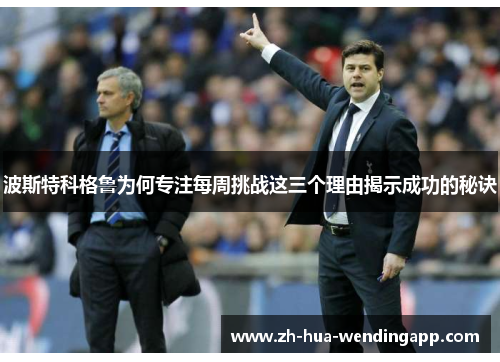 波斯特科格鲁为何专注每周挑战这三个理由揭示成功的秘诀