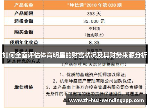 如何全面评估体育明星的财富状况及其财务来源分析